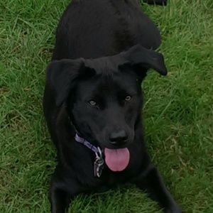 Meet your Posher, Elise